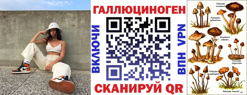 мега tor Урай Псилоцибиновые грибы Psilocybe где купить